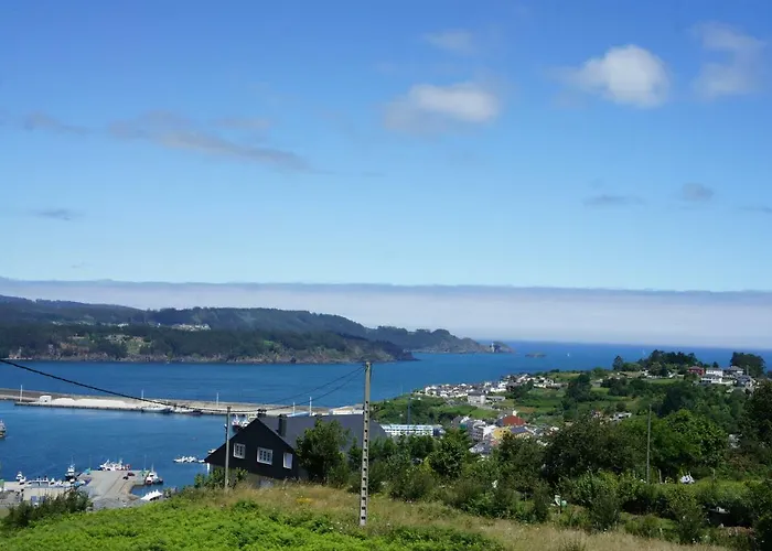 - El Escairo Viveiro